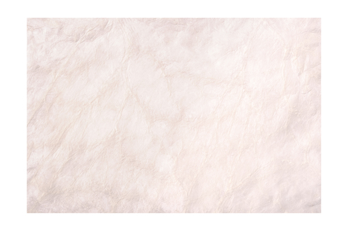 Avalon Medical Launches New Veterinary Surgical Tissue Patching Product